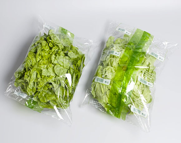 Leaf vegetable packing
