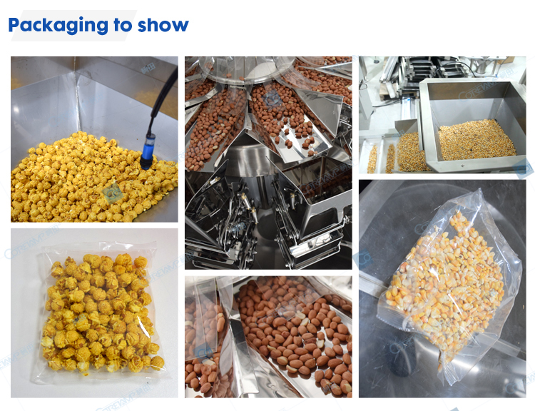 Soya Chunks Packing Machine For Packet ZV-420A / 520A
