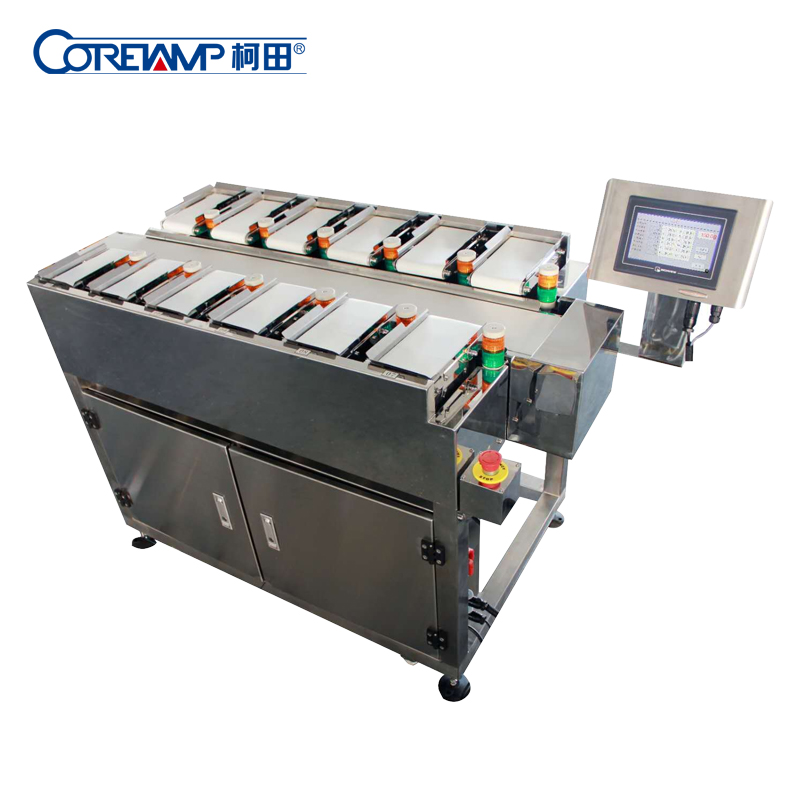 Automatic checkweigher system DLP-2516T12